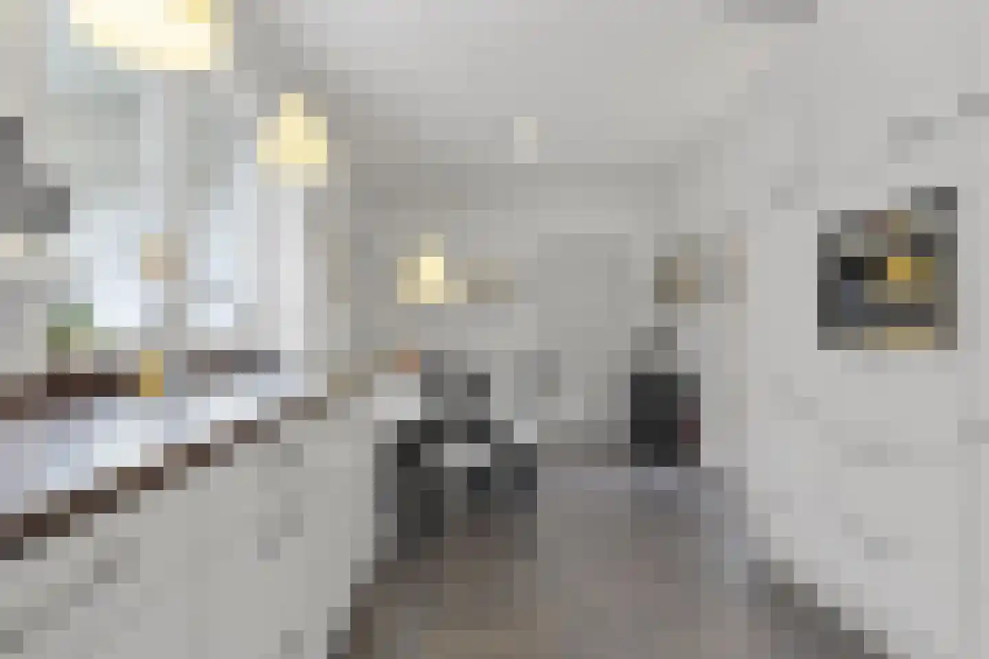 Bunderstraat 258 Meerssen thumbnail 13