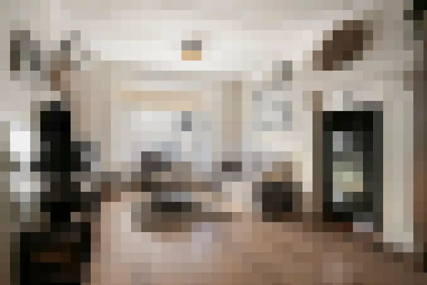 Bunderstraat 26 Valkenswaard thumbnail 11