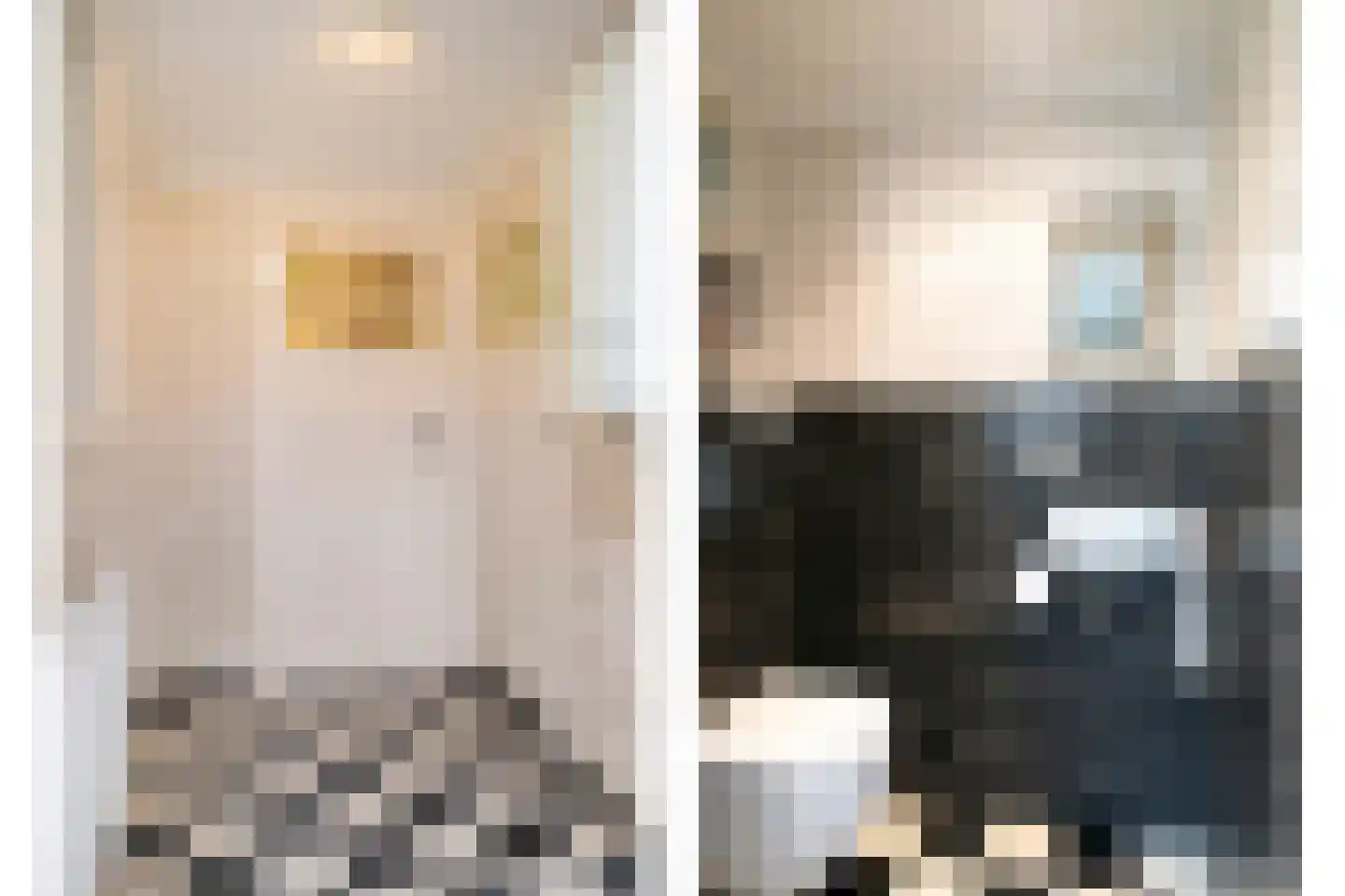Bunderstraat 26 Valkenswaard thumbnail 17