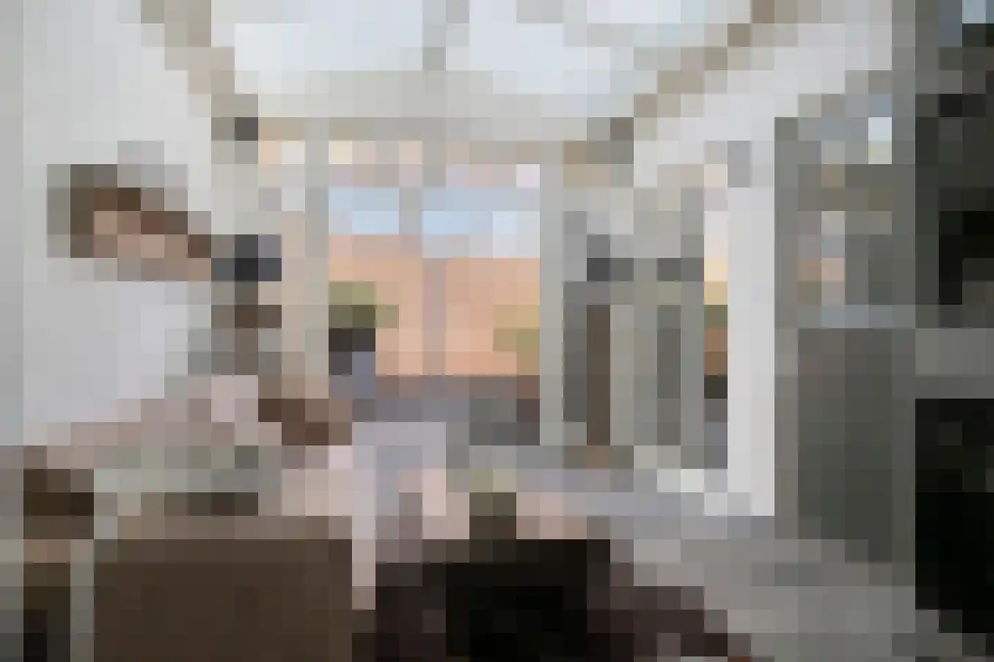 Bunderstraat 26 Valkenswaard thumbnail 23