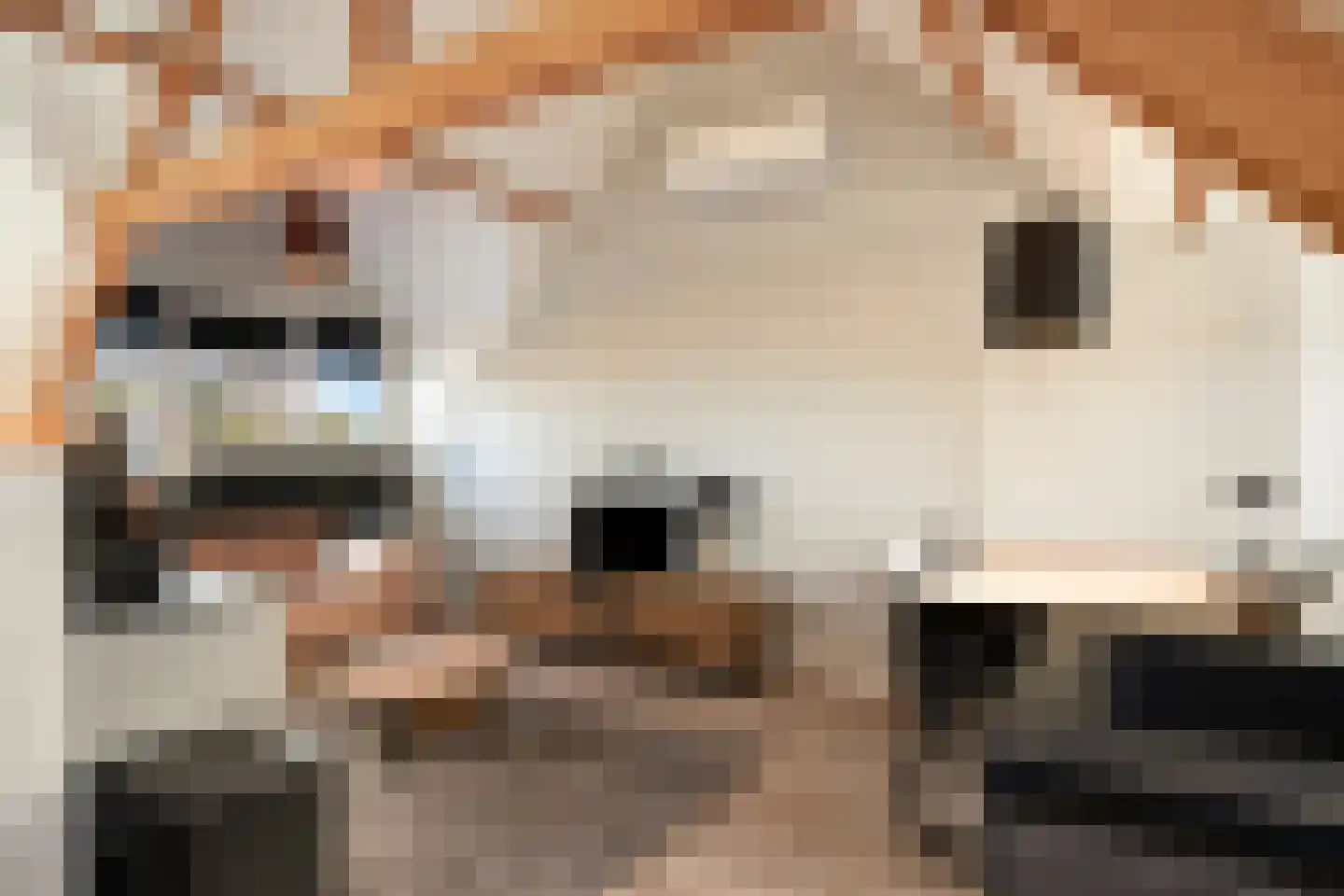 Bunderstraat 26 Valkenswaard thumbnail 38