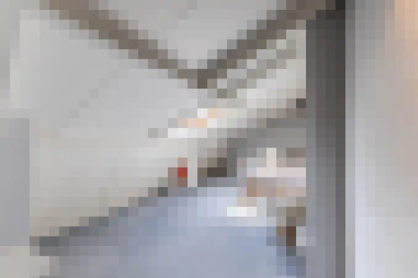 Bunderstraat 3 Valkenswaard thumbnail 28