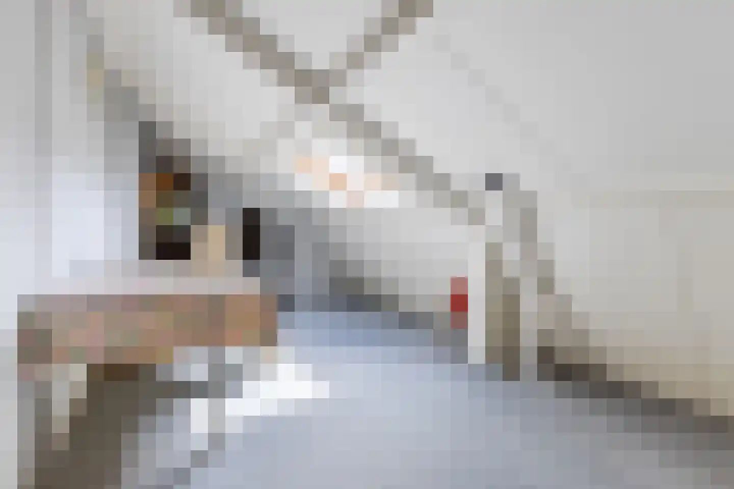 Bunderstraat 3 Valkenswaard thumbnail 29