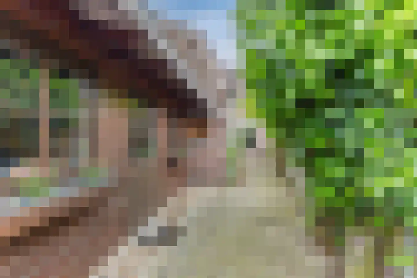 Bunderstraat 3 Valkenswaard thumbnail 33