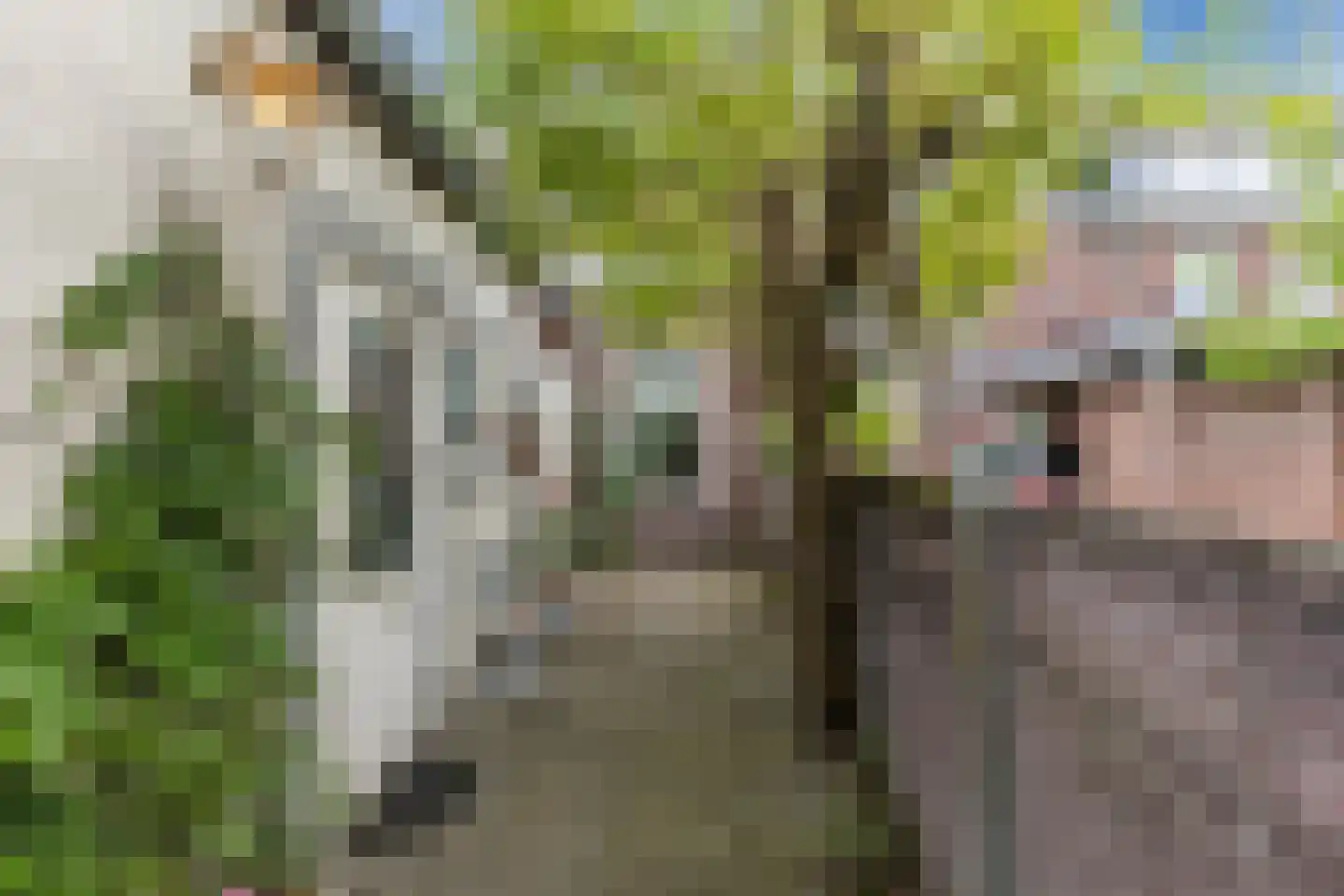 Bunderstraat 3 Valkenswaard thumbnail 34