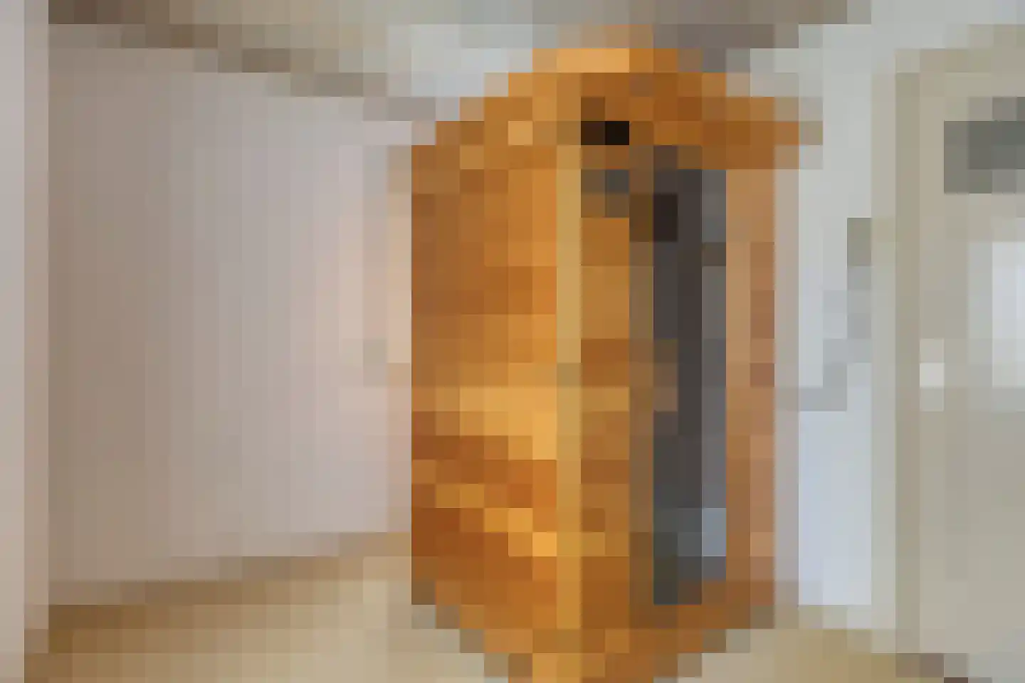 Bunderstraat 36 A Schijndel thumbnail 31
