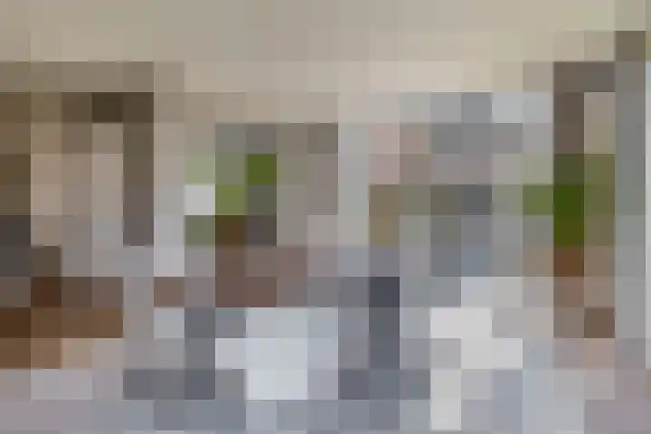 Bunderstraat 36 Schijndel thumbnail 8