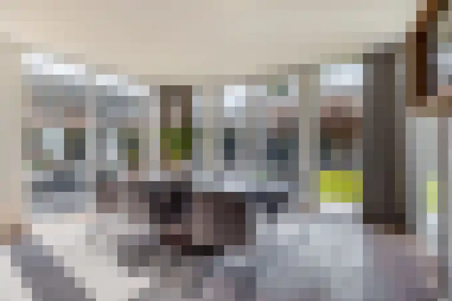 Bunderstraat 36 Schijndel thumbnail 9