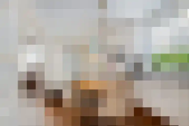 Bunderstraat 42 Schijndel thumbnail 8
