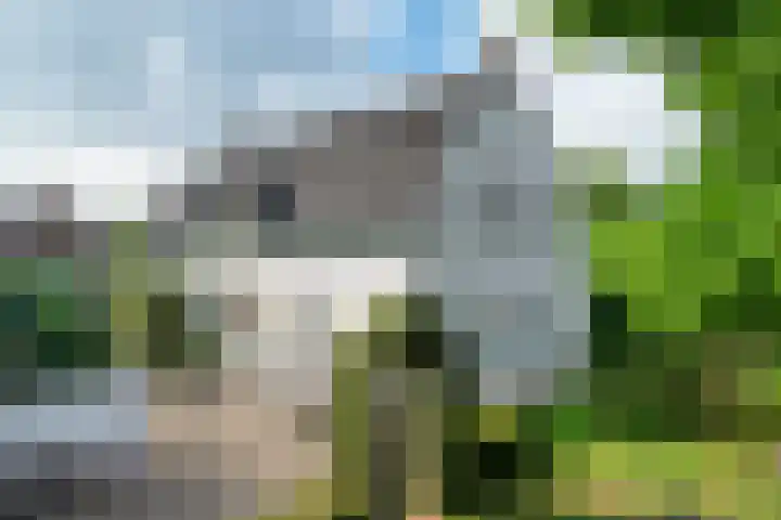Bunderstraat 51 Schijndel thumbnail 69