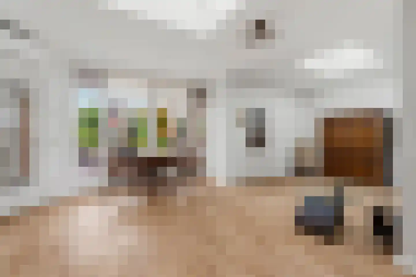 Bunderstraat 59 Schijndel thumbnail 12