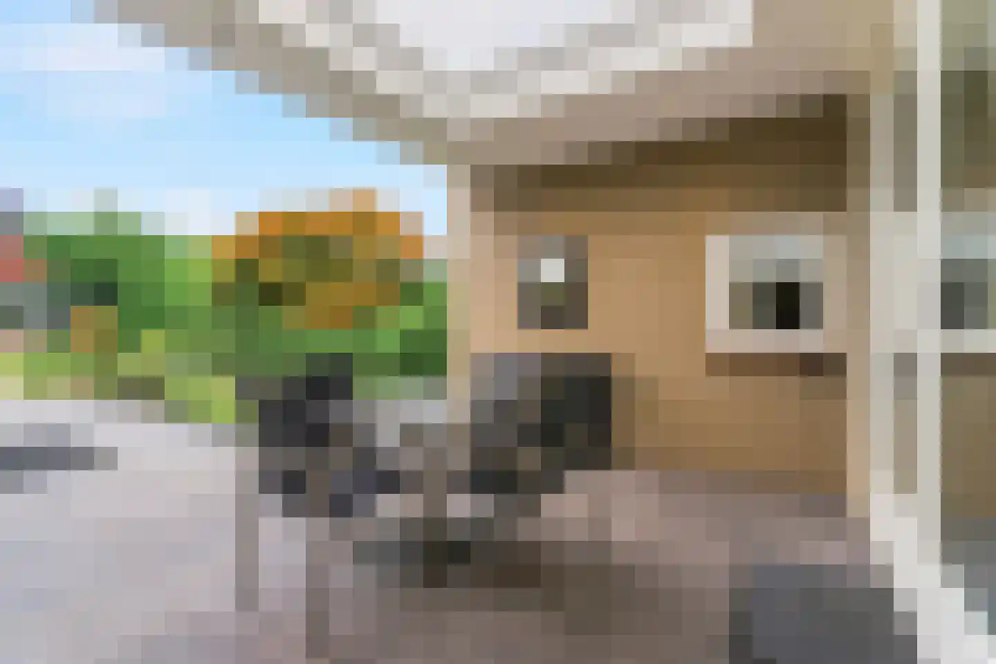 Bunderstraat 59 Schijndel thumbnail 37