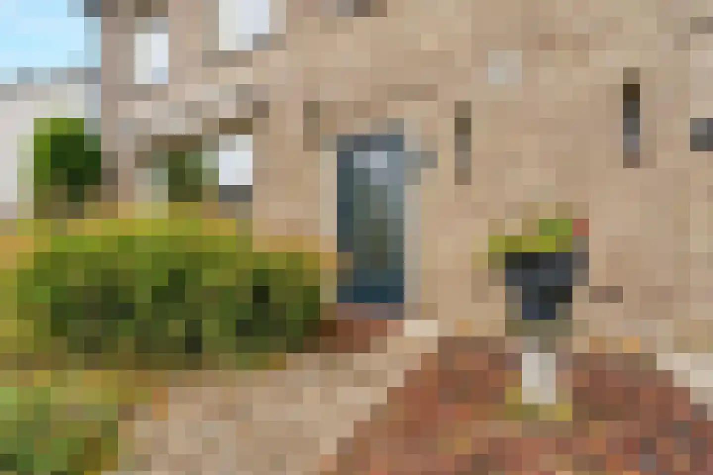Bunderstraat 59 Schijndel thumbnail 5