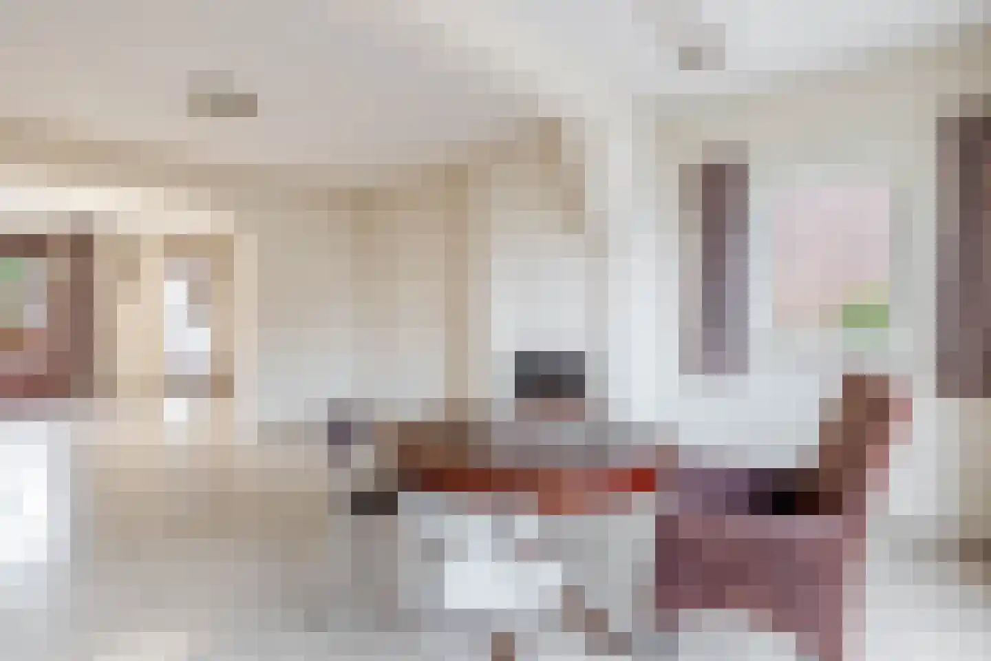 Bunderstraat 85 Schijndel thumbnail 4