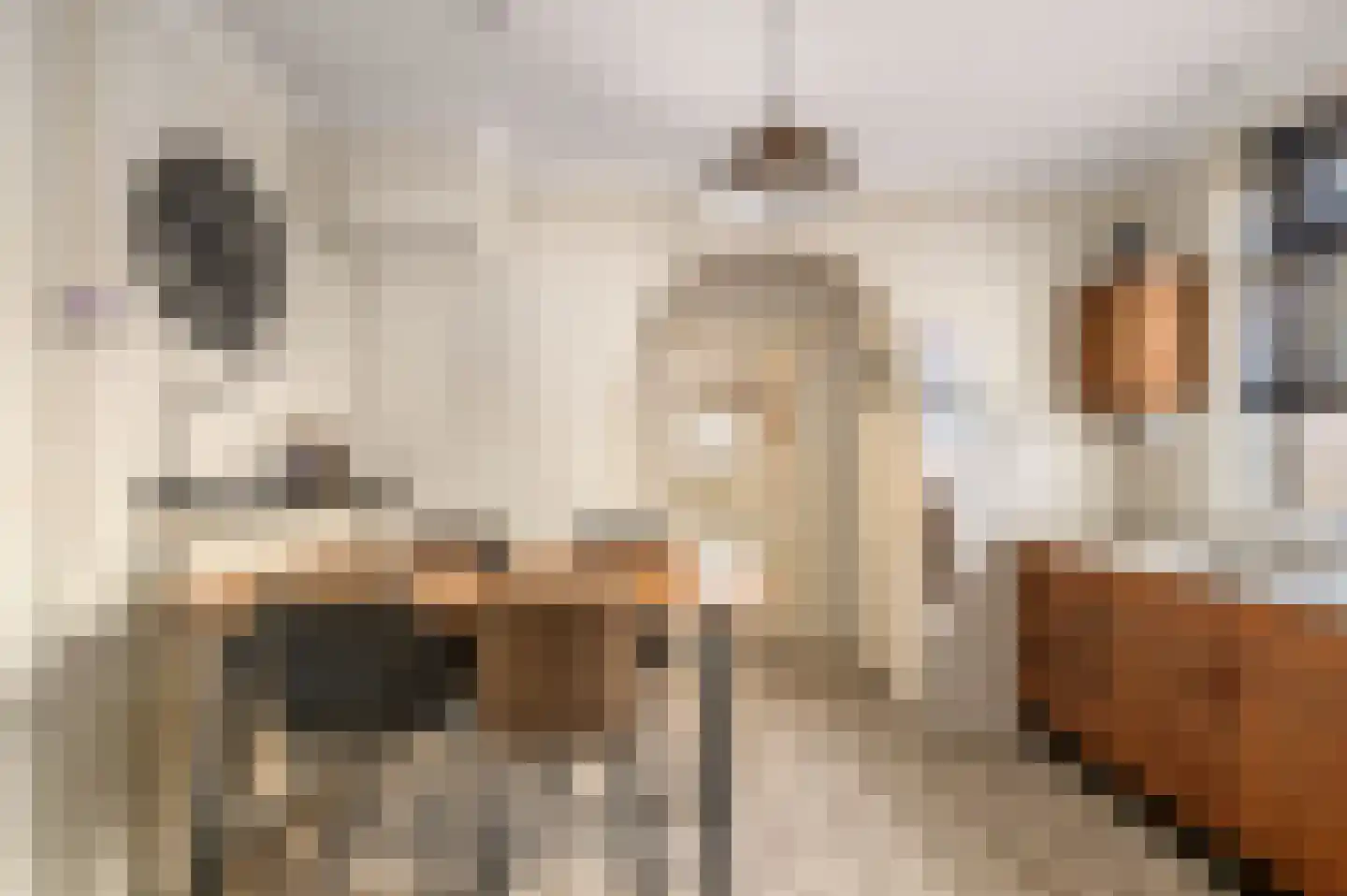 Bunderstraat 91 Schijndel thumbnail 13