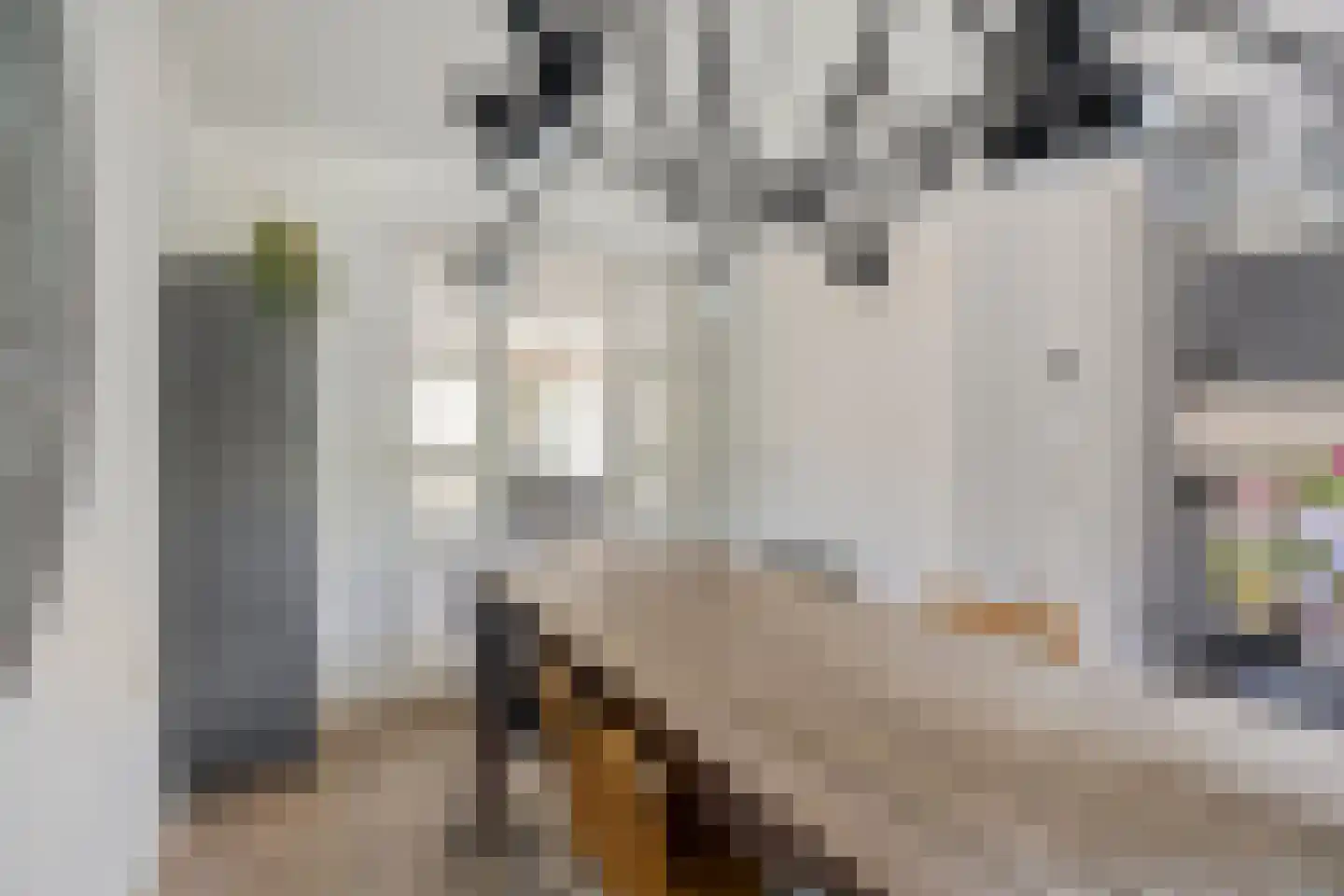 Bundert 5 Bergeijk thumbnail 10