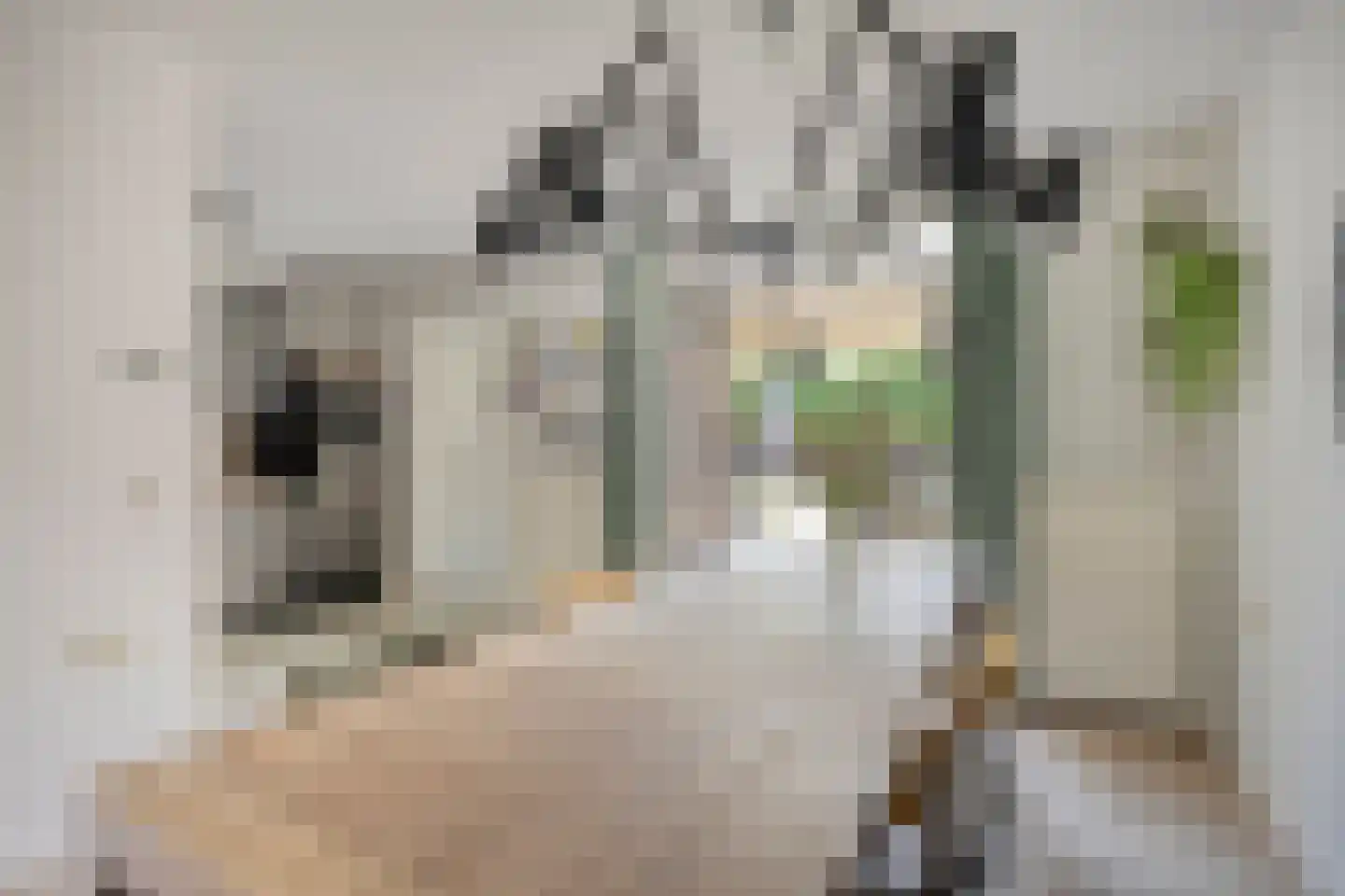 Bundert 5 Bergeijk thumbnail 11