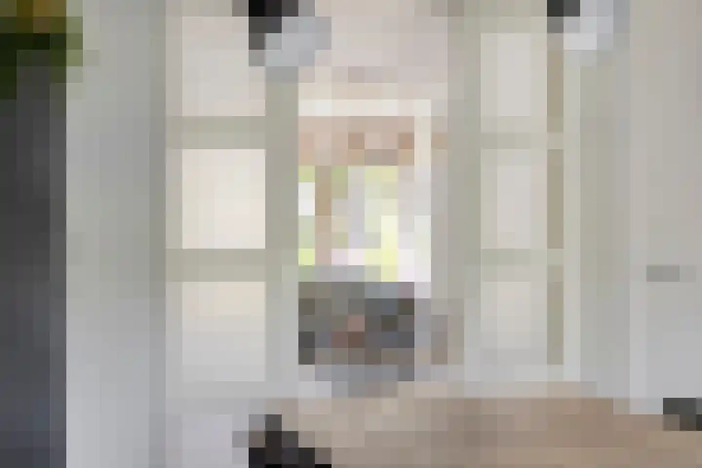Bundert 5 Bergeijk thumbnail 12