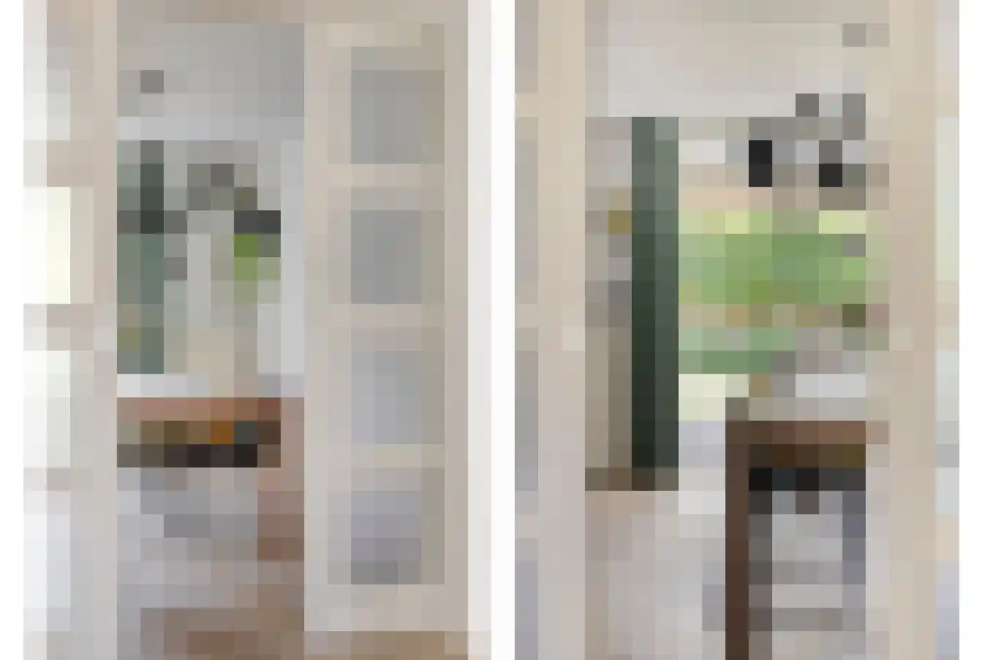 Bundert 5 Bergeijk thumbnail 13