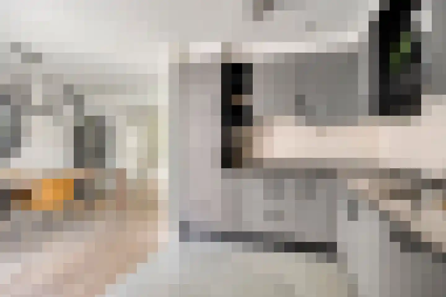 Bundert 5 Bergeijk thumbnail 15