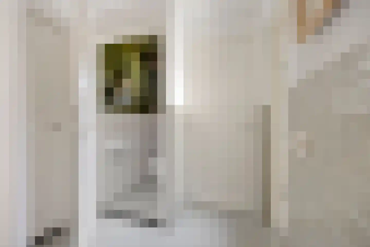 Bundert 5 Bergeijk thumbnail 16