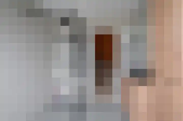 Bunderweg 25 Bad Nieuweschans thumbnail 31