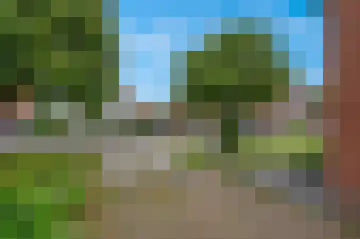 Bunderweg 25 Bad Nieuweschans thumbnail 7