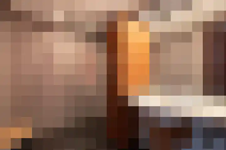 Bunderweg 32 Bad Nieuweschans thumbnail 20