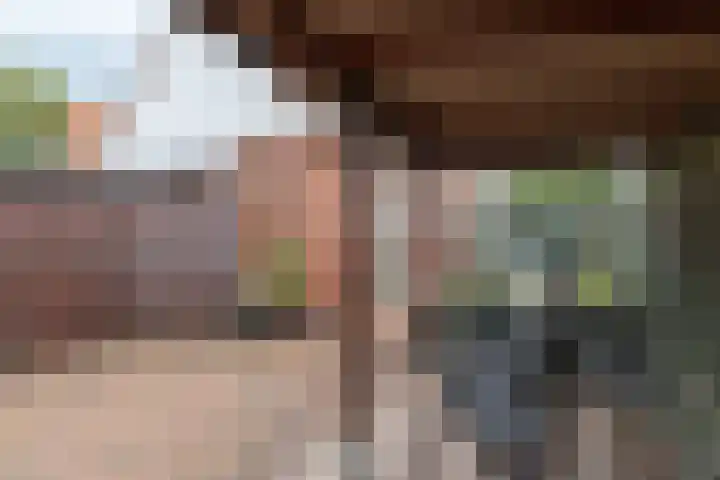 Bunderweg 32 Bad Nieuweschans thumbnail 30