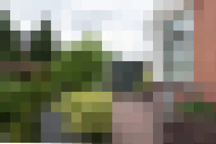 Bunderweg 32 Bad Nieuweschans thumbnail 34
