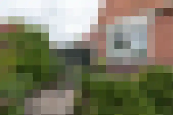 Bunderweg 32 Bad Nieuweschans thumbnail 35