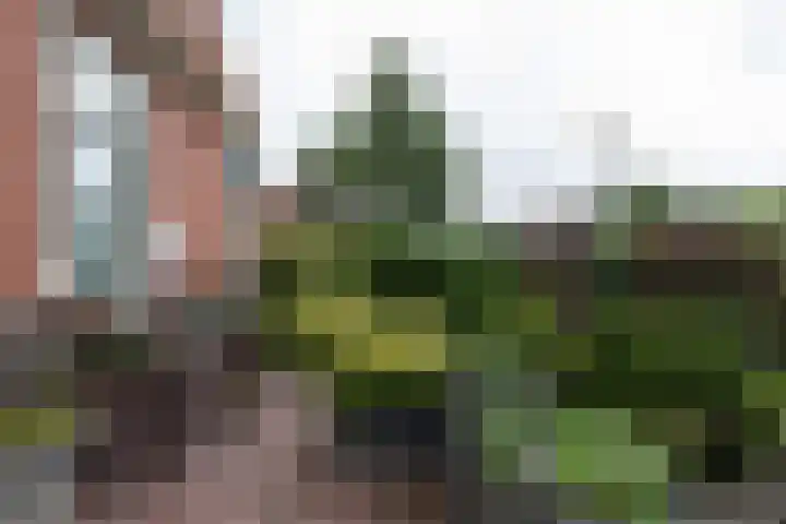 Bunderweg 32 Bad Nieuweschans thumbnail 36