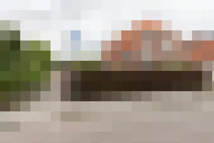 Bunderweg 32 Bad Nieuweschans thumbnail 39