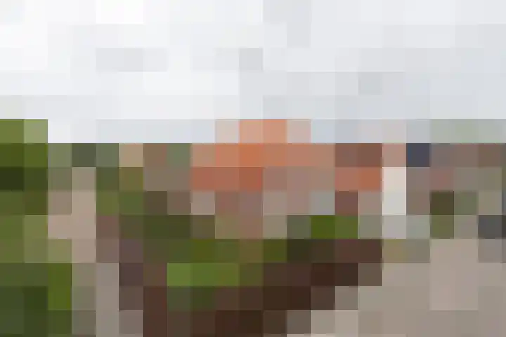 Bunderweg 32 Bad Nieuweschans thumbnail 41