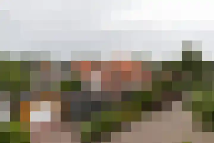 Bunderweg 32 Bad Nieuweschans thumbnail 42