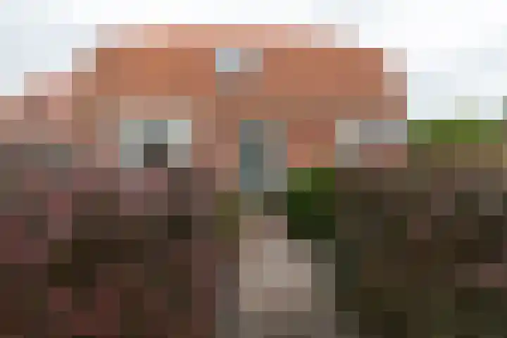 Bunderweg 32 Bad Nieuweschans thumbnail 7