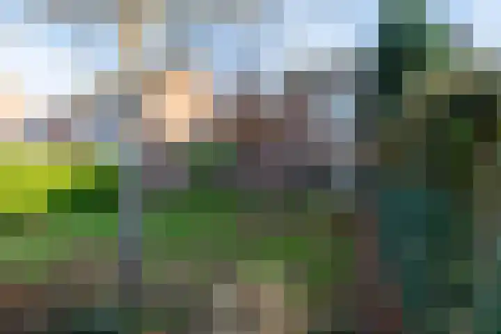 Bunderweide 5 Landgraaf thumbnail 22