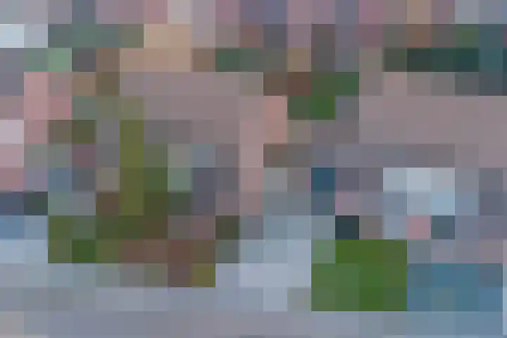 Bunderweide 5 Landgraaf thumbnail 24