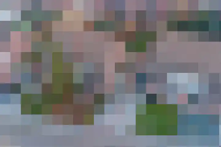 Bunderweide 5 Landgraaf thumbnail 25