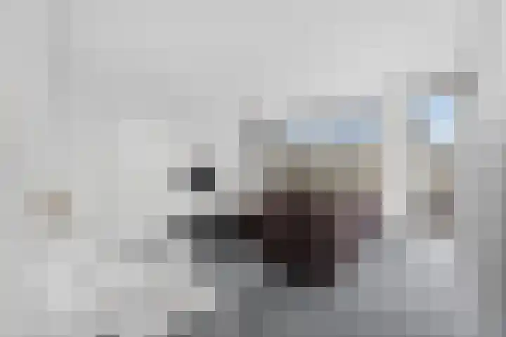 Bundlaan 166 Amsterdam thumbnail 26