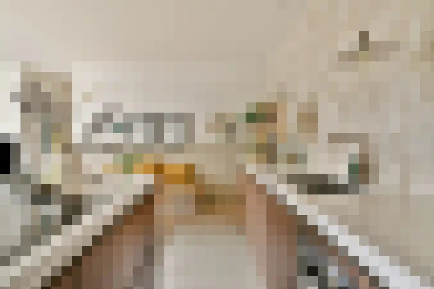 Bundlaan 182 Amsterdam thumbnail 14