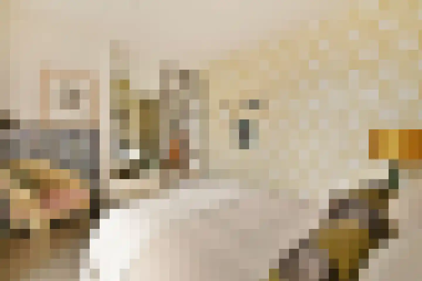 Bundlaan 182 Amsterdam thumbnail 21