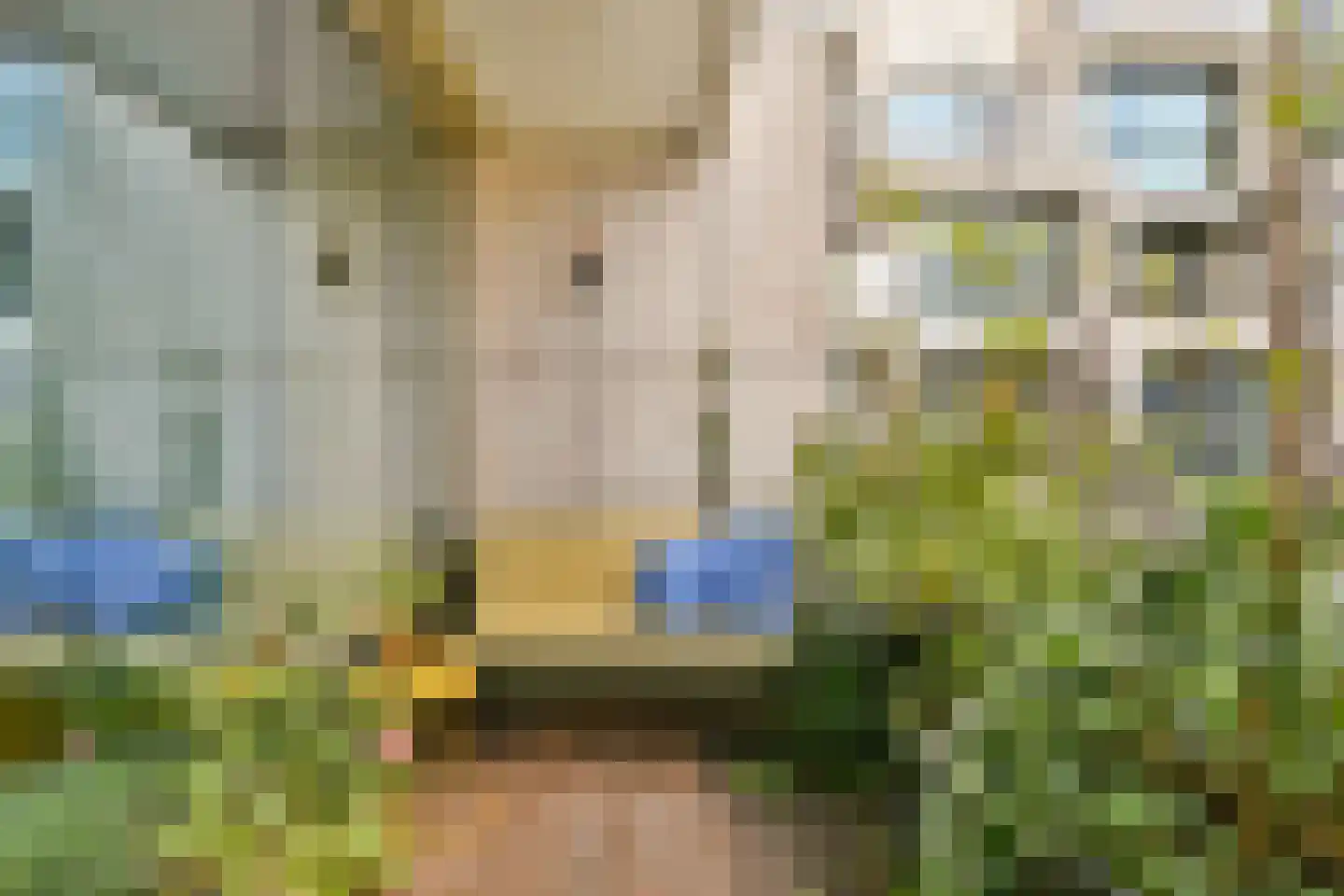Bundlaan 182 Amsterdam thumbnail 29