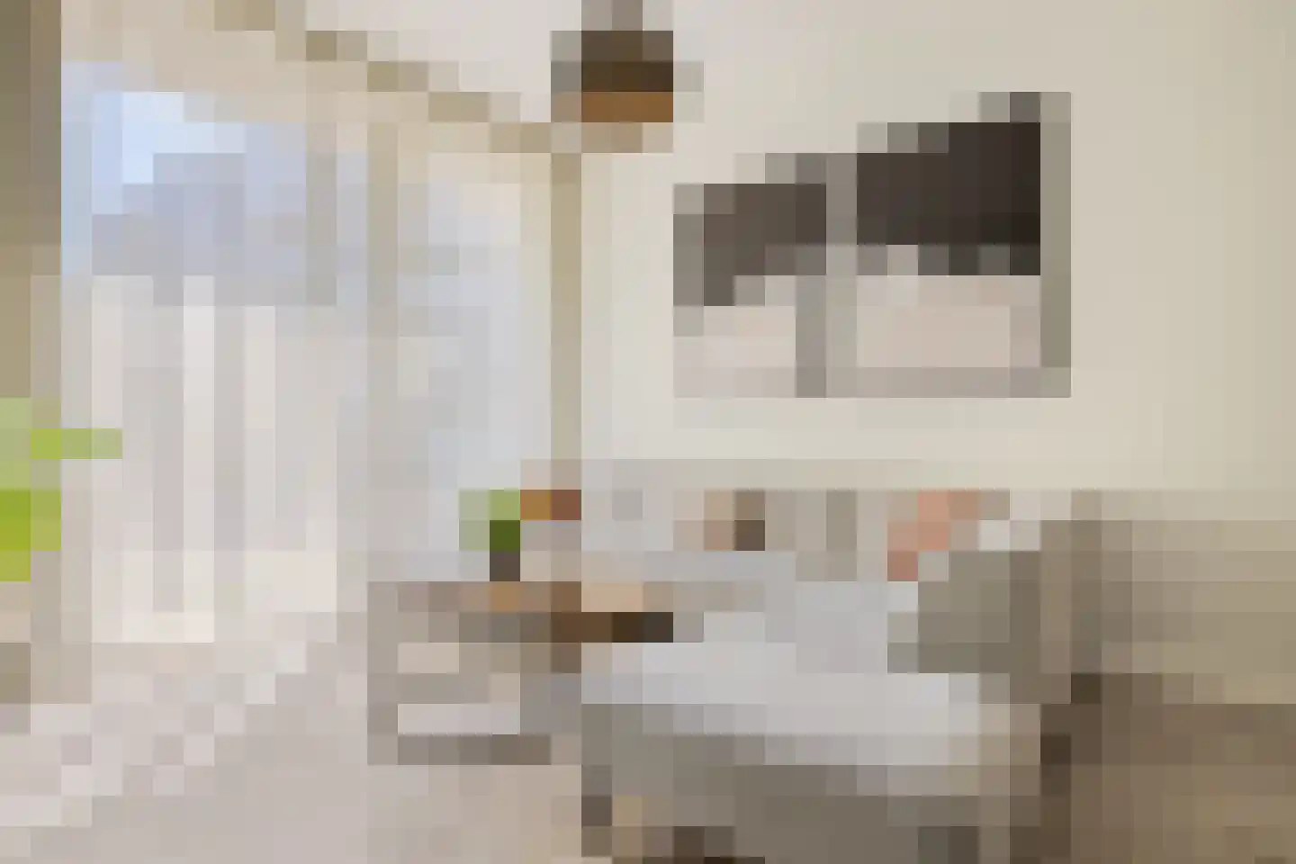 Bundlaan 204 Amsterdam thumbnail 10