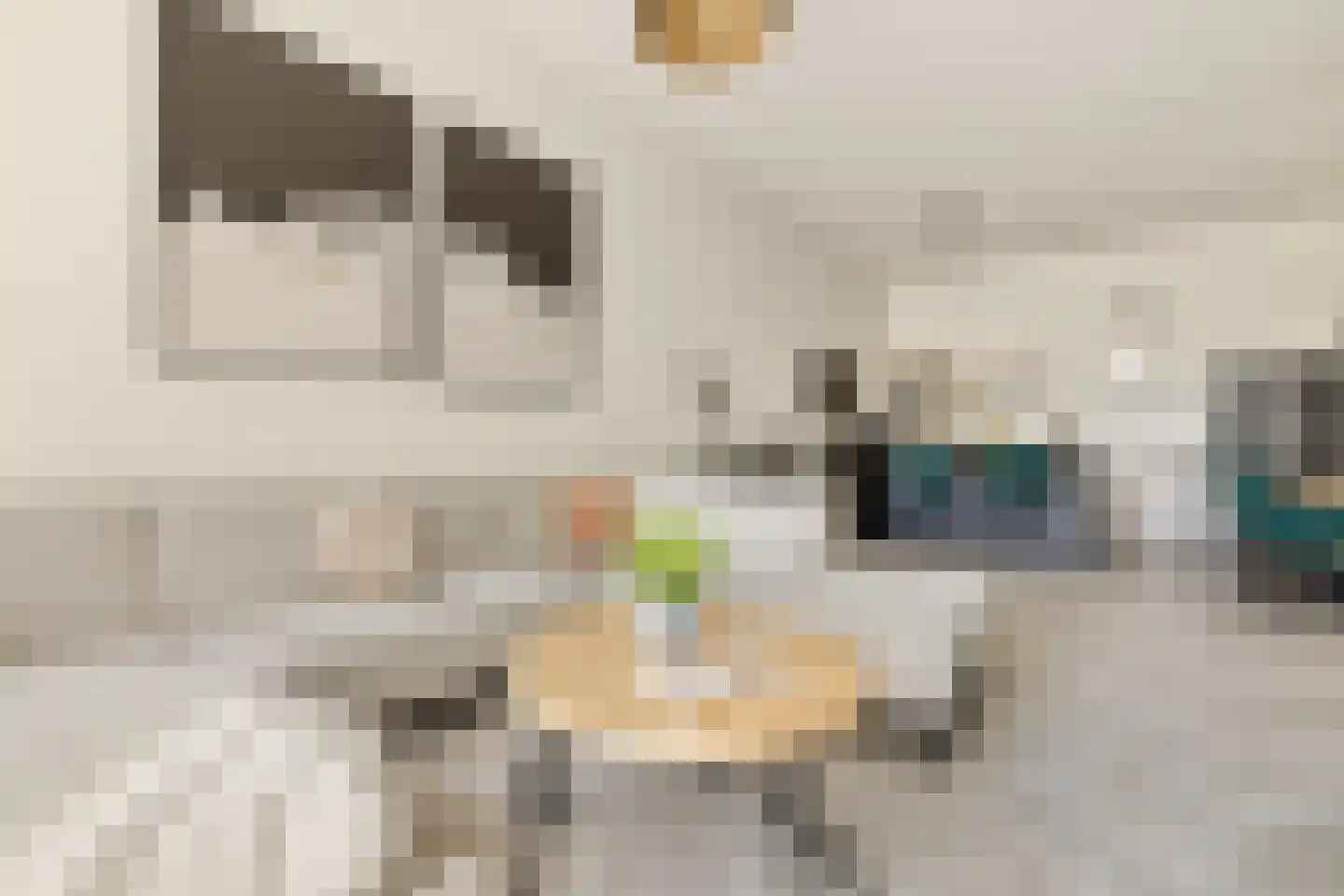 Bundlaan 204 Amsterdam thumbnail 13