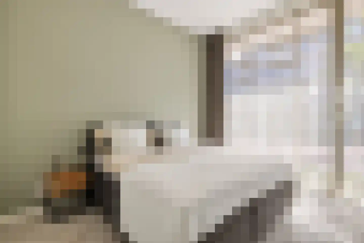 Bundlaan 204 Amsterdam thumbnail 15