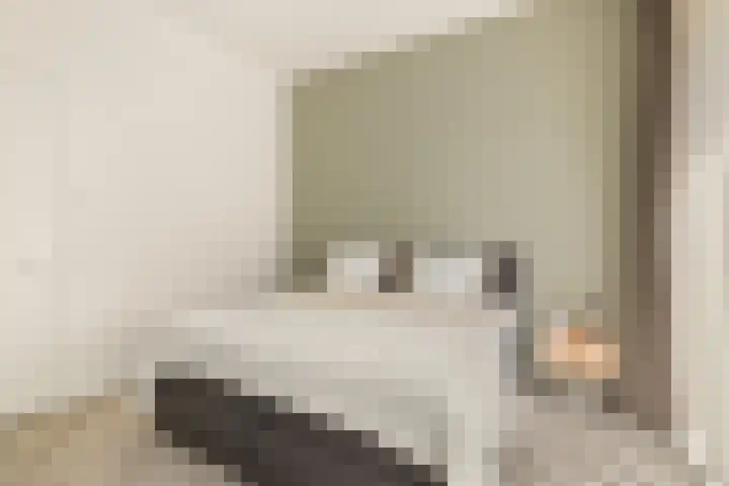 Bundlaan 204 Amsterdam thumbnail 18