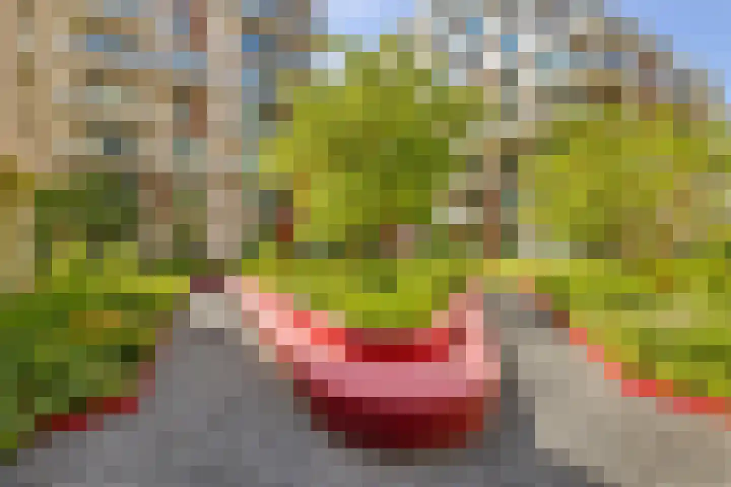 Bundlaan 204 Amsterdam thumbnail 30