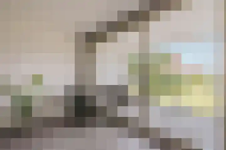 Bundlaan 212 Amsterdam thumbnail 11