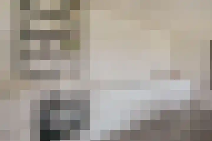 Bundlaan 212 Amsterdam thumbnail 12